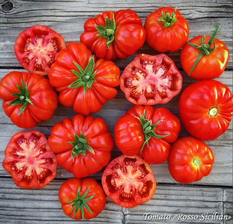 Tomato Rosso Sicilian, Томат Красный из Сицилии